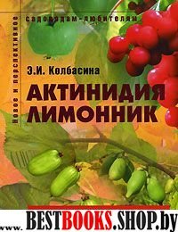 Актинидия, лимонник