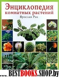 Энциклопедия комнатных растений