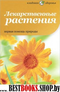 Лекарственные растения.Первая помощь природы