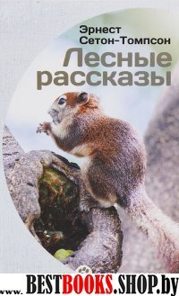 Лесные рассказы