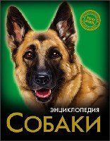 Собаки