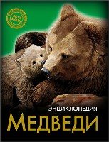 Медведи