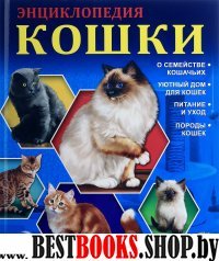 Кошки