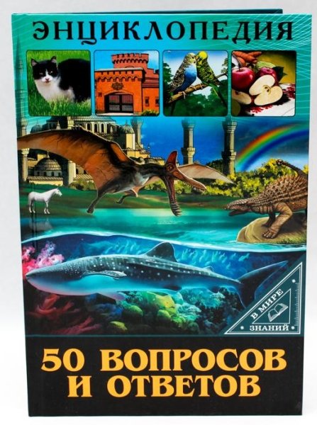 50 вопросов и ответов