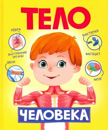 Тело человека