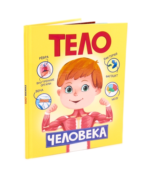 КнЧт Тело человека