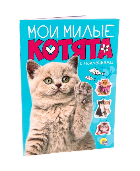 Мои милые котята