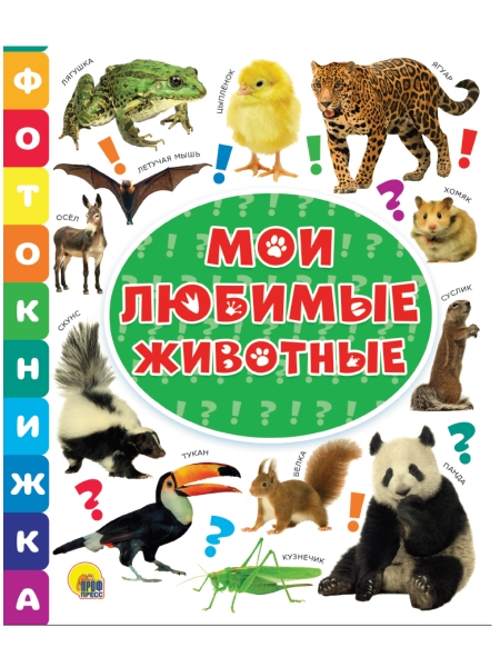 Мои любимые животные