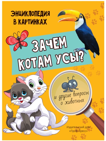 КнЧт Зачем котам усы?