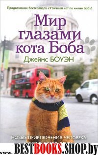 Лапа друга. Мир глазами кота Боба. Новые приключения человека