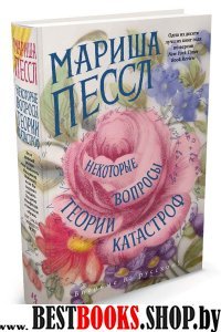 БолРом Некоторые вопросы теории катастроф