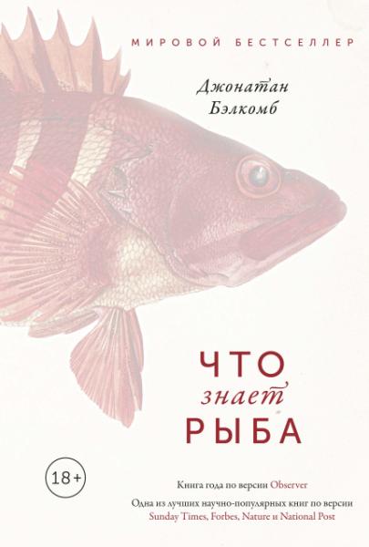 Что знает рыба. Внутренний мир наших подводных собратьев