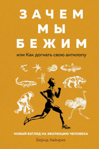 НаучИнт Зачем мы бежим, или Как догнать свою антилопу. Новый взгляд