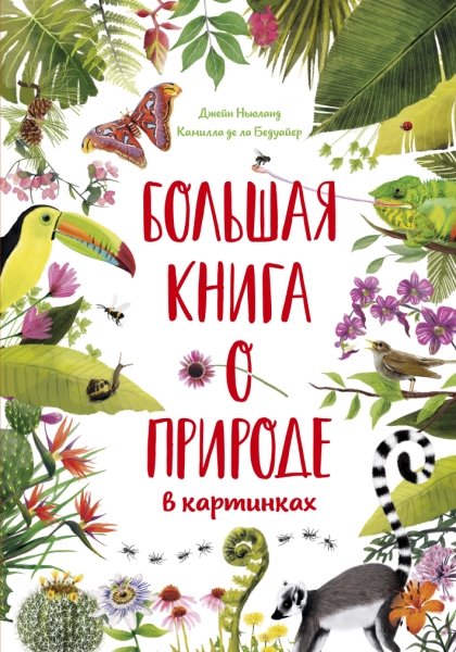 ЭДД Большая книга о природе в картинках