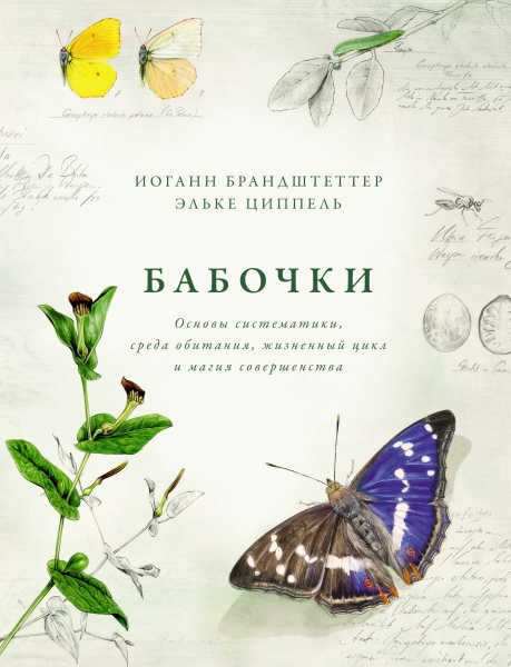 Бабочки. Основы систематики, среда обитания, жизненный цикл и магия