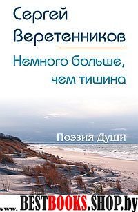 Немного больше, чем тишина. Сборник стихов