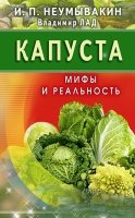 Капуста. Мифы и реальность