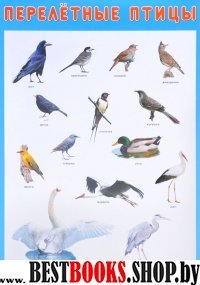 Перелетные птицы