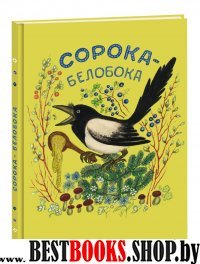 Сорока-белобока