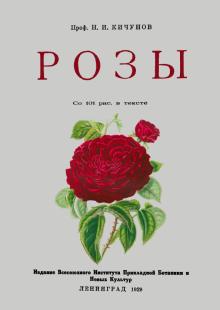 Розы