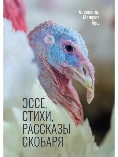 Эссе, стихи, рассказы скобаря