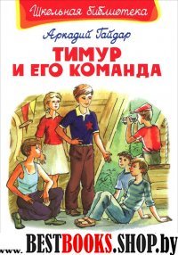 ШкБ(Омега) Тимур и его команда