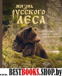 Жизнь русского леса. Большая подарочная энциклопедия (медведь)