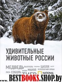Удивительные животные России (комплект)