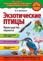 Экзотические птицы. Яркое царство пернатых