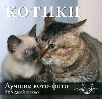 Календарь. Котики: Лучшие кото-фото. 365 дней в году (оформление 2)