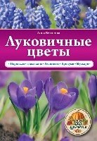 Луковичные цветы