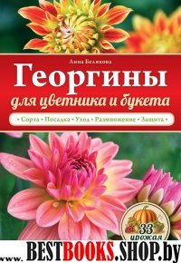 Георгины для цветника и букета