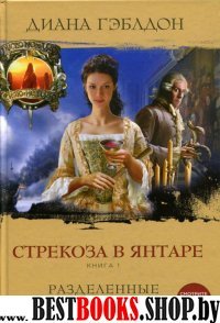 Стрекоза в янтаре. Книга 1. Разделенные веками