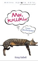 Мы, кошки