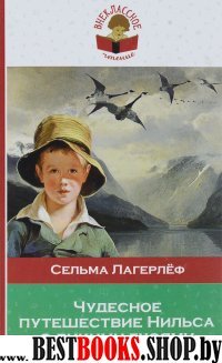 ВнЧтение Чудесное путешествие Нильса с дикими гусями