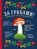 Натуральная аптечка. Ягоды, овощи, фрукты
