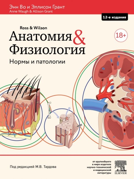 ЦИМА Анатомия и физиология. Нормы и патологии