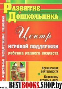 Организация деятельн.Центра игровой поддержки