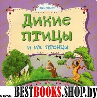 Дикие птицы и их птенцы: литературно-художественное издание для чтения