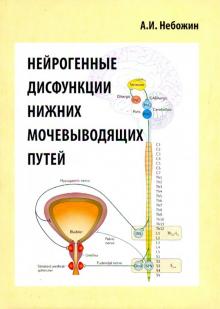 Нейрогенные дисфункции нижних мочевыводящих путей