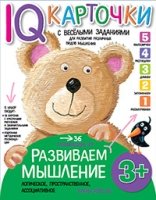 Развиваем мышление 3+