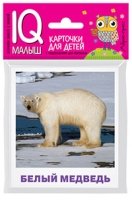 Умный малыш. Животные полярных широт. Набор карточек для детей