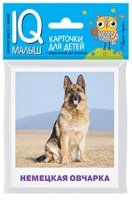 Умный малыш. Породы собак Набор карточек для детей