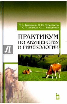 Практикум по акушерству и гинекологии.Уч.пос.