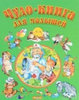 ДПИКн Чудо-книга для малышей