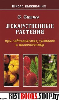 Лекарственные растения при заболеваниях суст.и поз