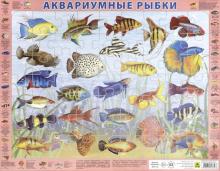 Аквариумные рыбки. Детский пазл на подложке 63эл.