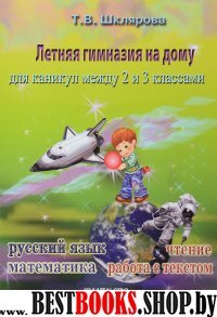 Летняя гимназия на дому между 2-3 классами.