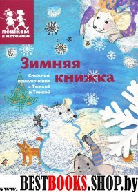 Зимняя книжка