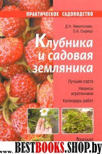 Клубника и садовая земляника